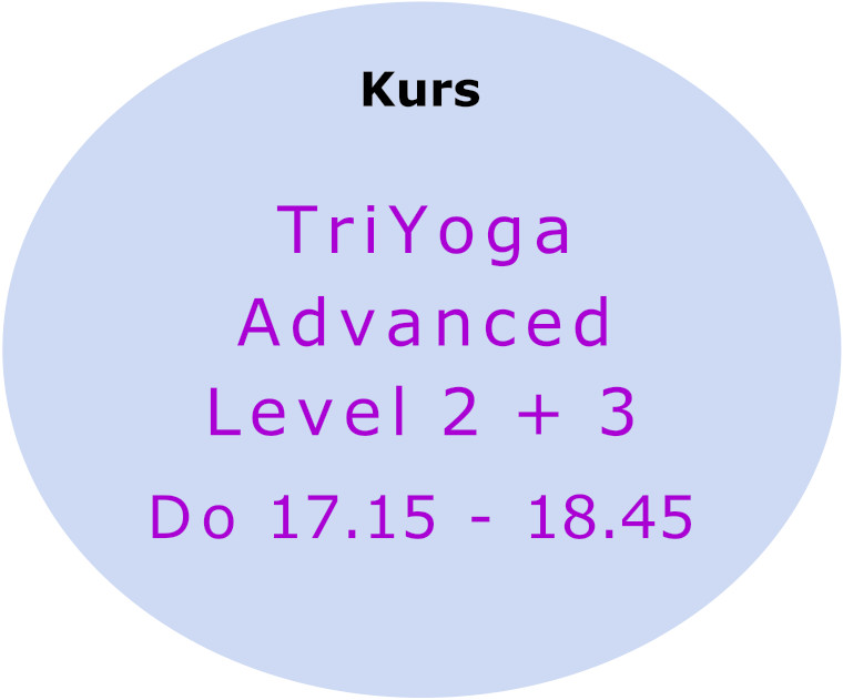 zum Kurs Triyoga